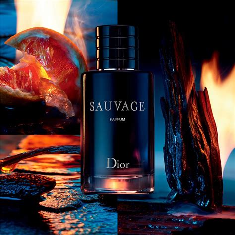 dior parfum maroc|Parfums Femme .